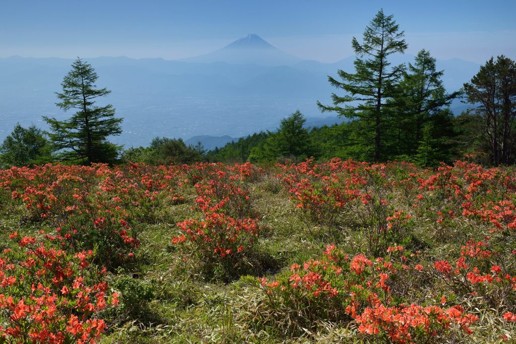 週末の富士山（新作911）