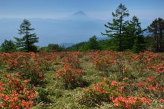 週末の富士山（新作911）