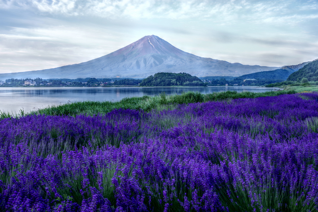 平日の富士山49