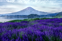 平日の富士山49