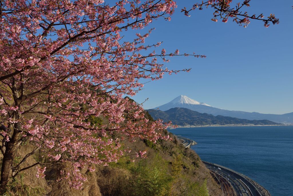 週末の富士山（新作1278）