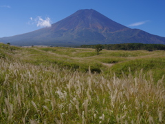 週末の富士山（新作1041）