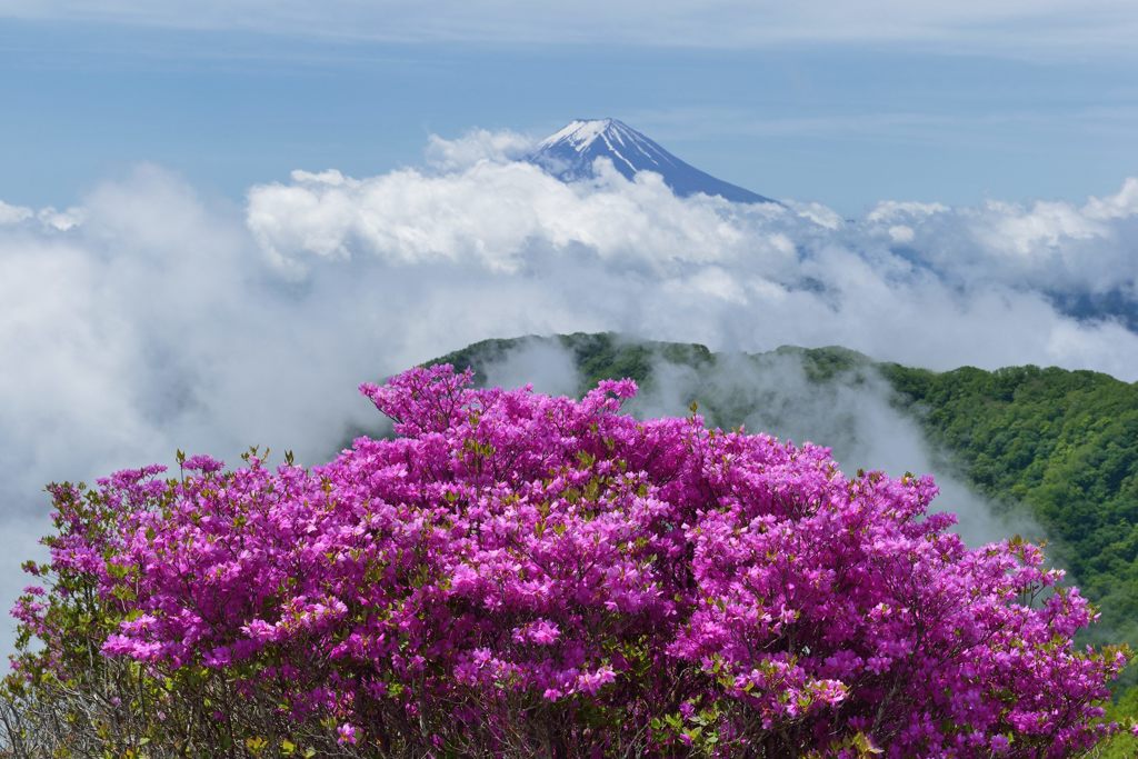 平日の富士山30