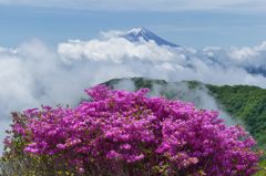 平日の富士山30