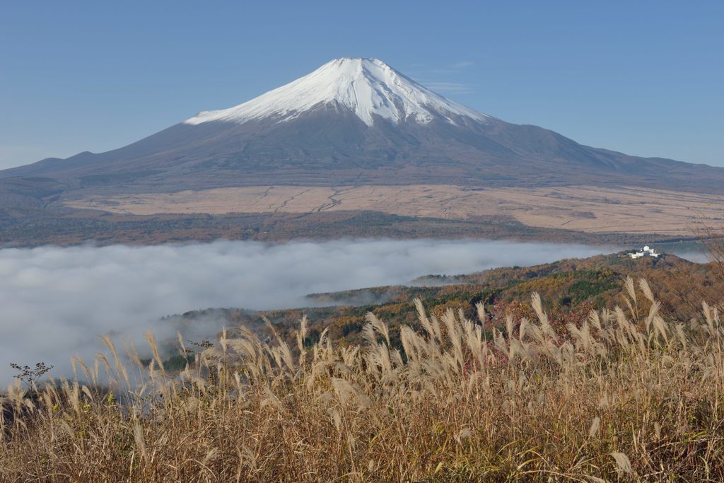 週末の富士山（新作490）