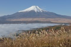週末の富士山（新作490）
