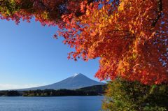 週末の富士山（新作322）