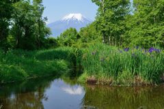 週末の富士山（新作908）