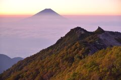 平日の富士山789