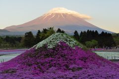 週末の富士山（新作457）