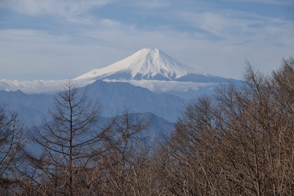 週末の富士山（新作1350）