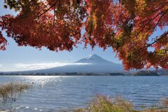 平日の富士山926