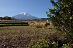 平日の富士山858