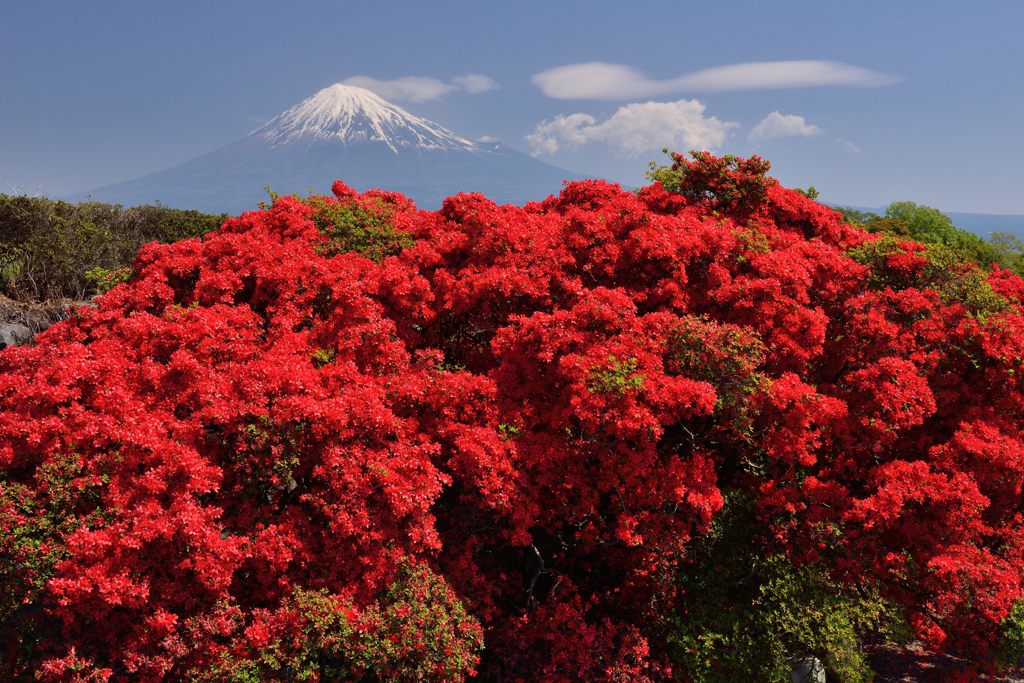 平日の富士山（新作603）