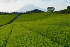 週末の富士山（新作858）