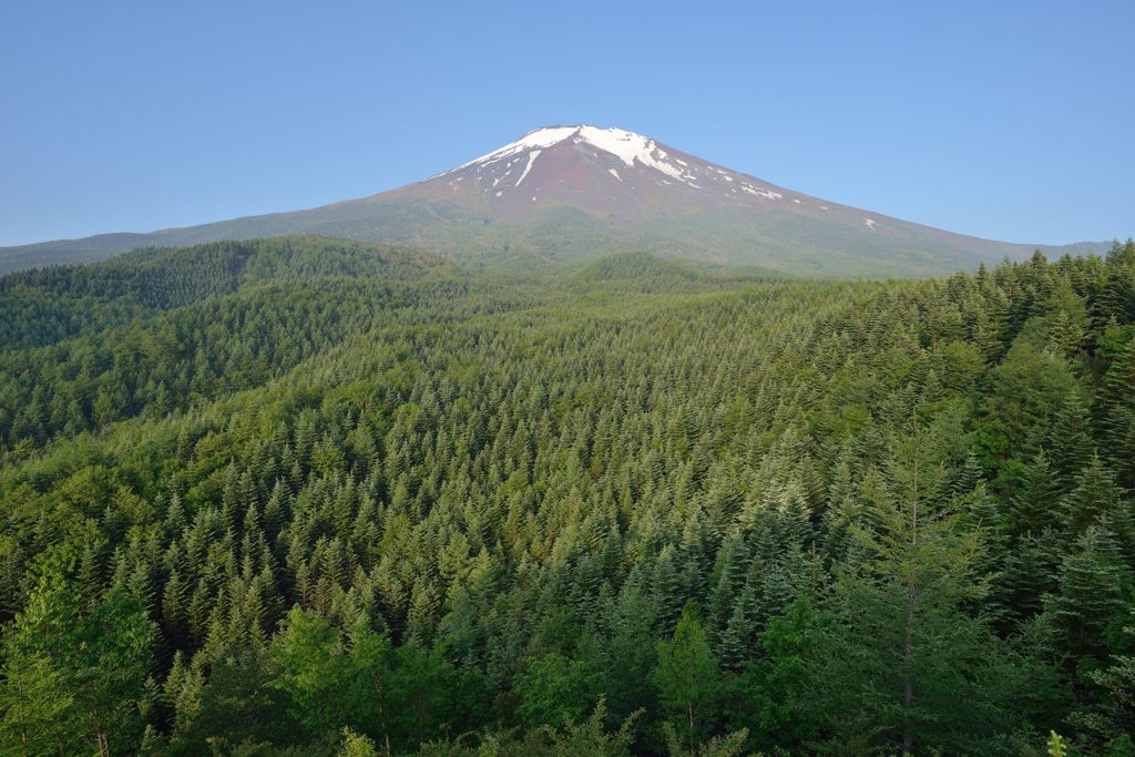 週末の富士山（新作676）