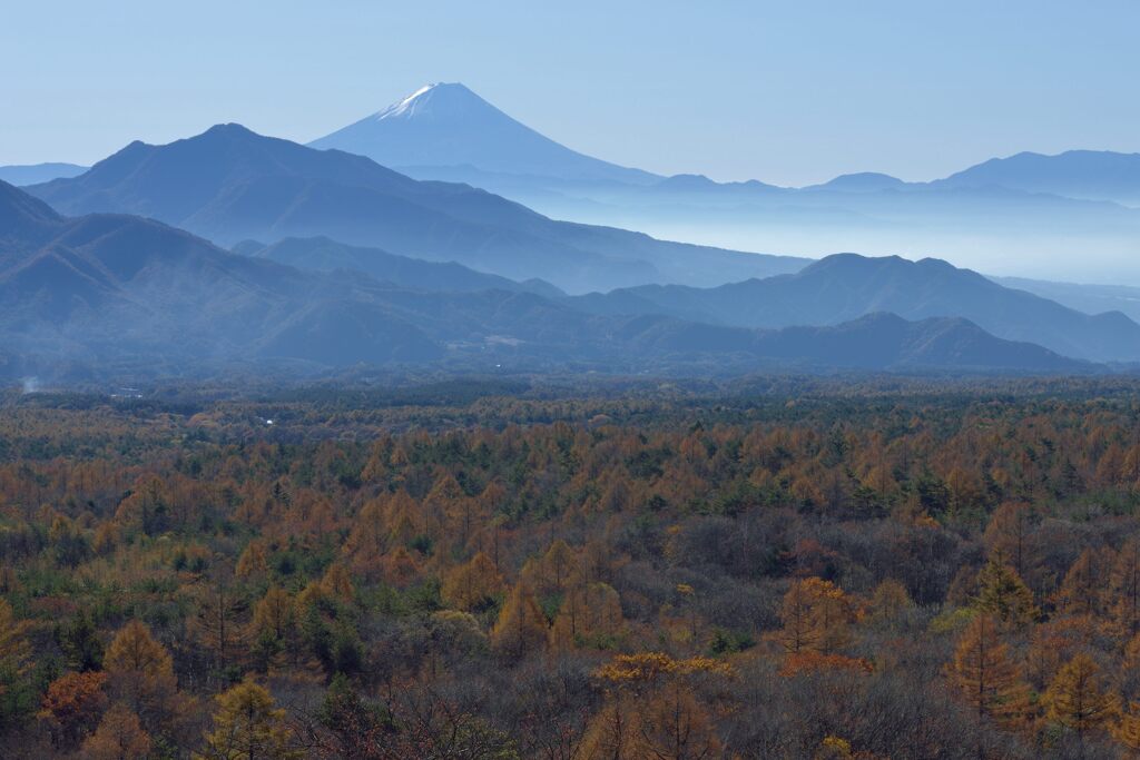 平日の富士山833
