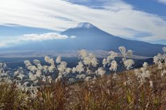 週末の富士山（新作336）