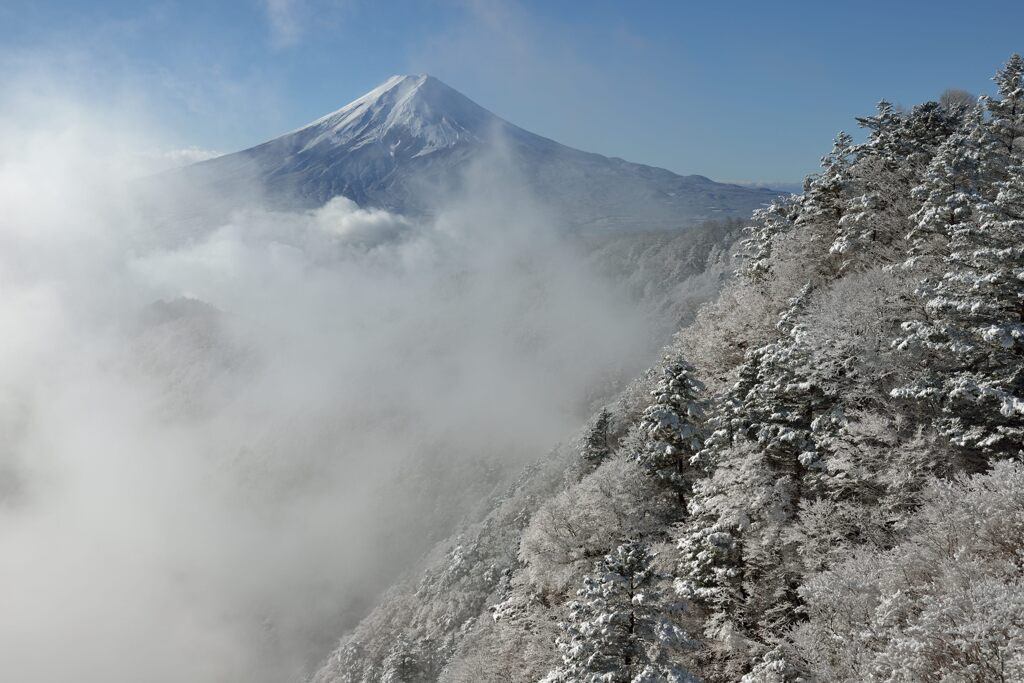平日の富士山944