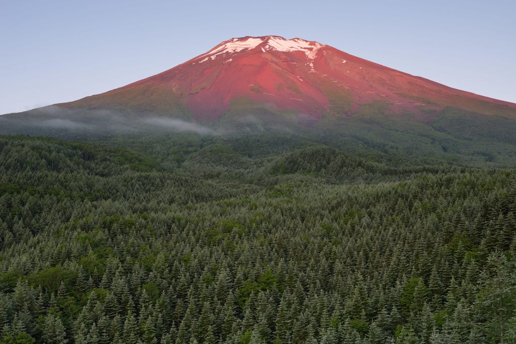 週末の富士山（新作914）
