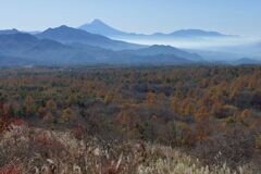 平日の富士山831