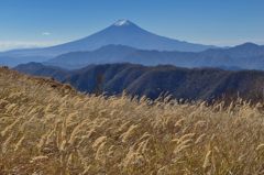 週末の富士山（新作318）