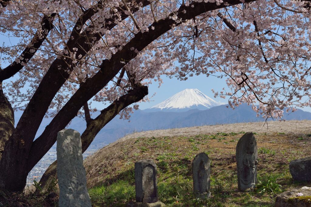 平日の富士山1071