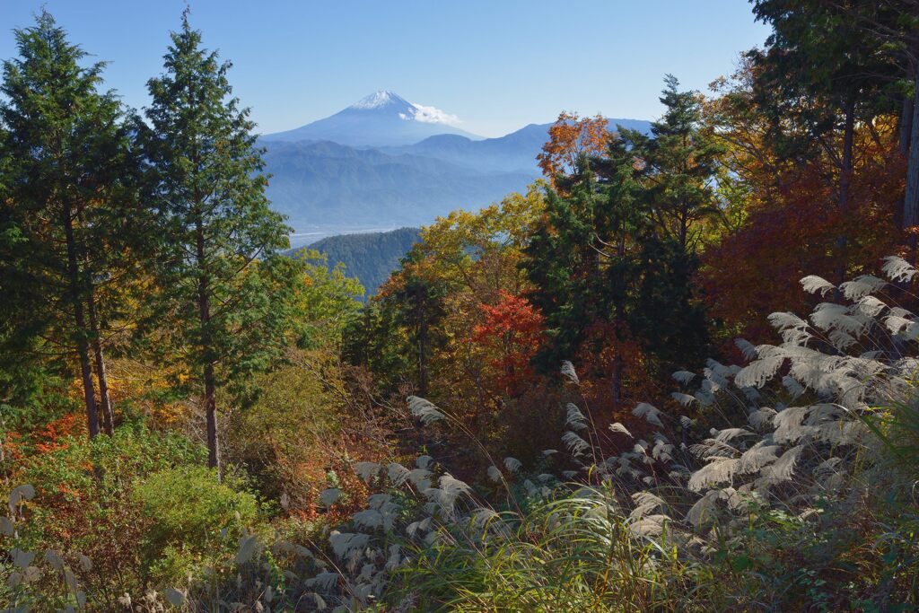平日の富士山835