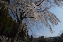 平日の富士山708