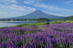 平日の富士山48