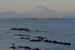 週末の富士山（新作706）