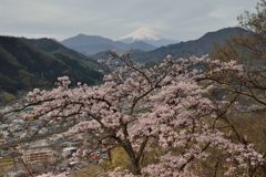 平日の富士山268