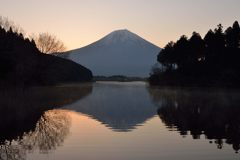週末の富士山（新作600）