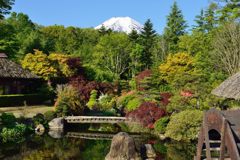 週末の富士山（新作663）