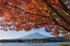 平日の富士山901