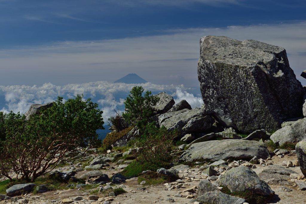 平日の富士山81