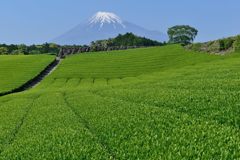 週末の富士山（新作853）