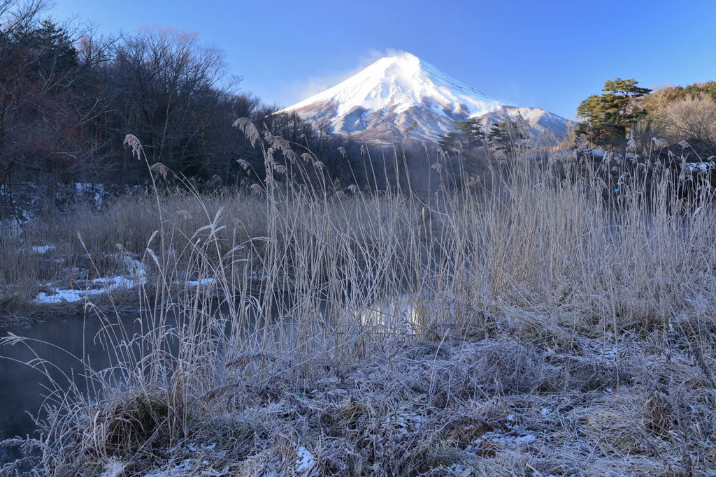 週末の富士山30