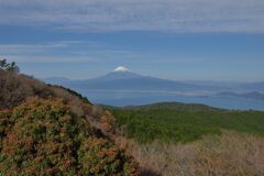 週末の富士山294