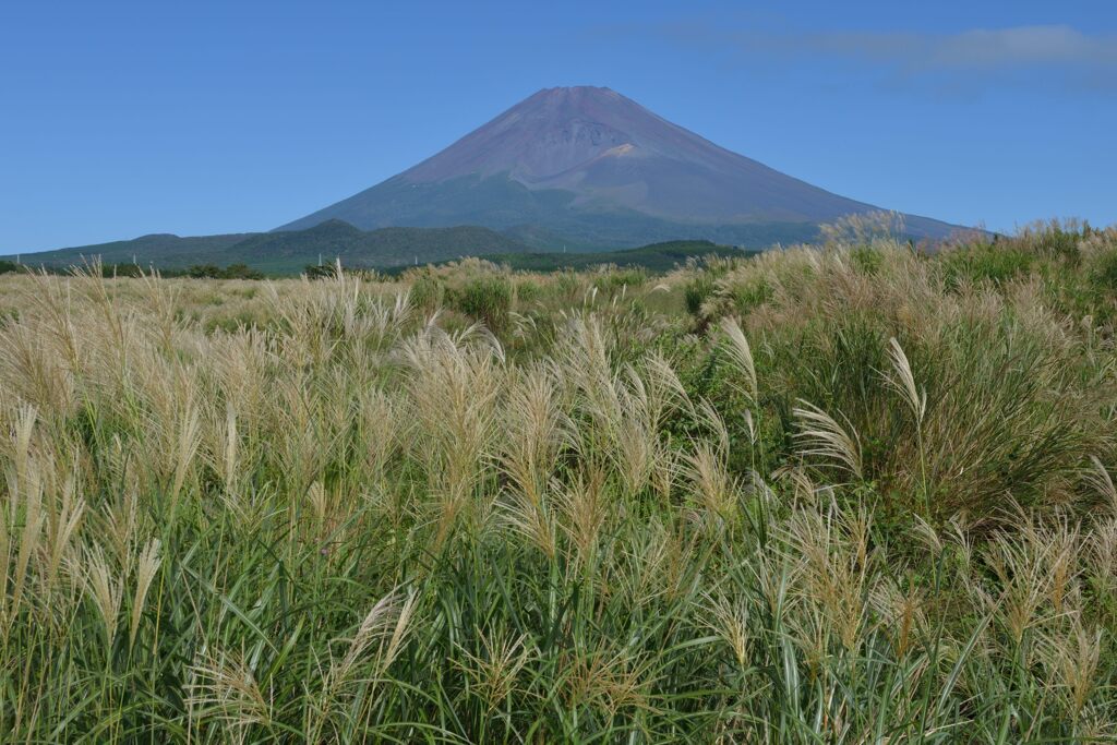 週末の富士山154
