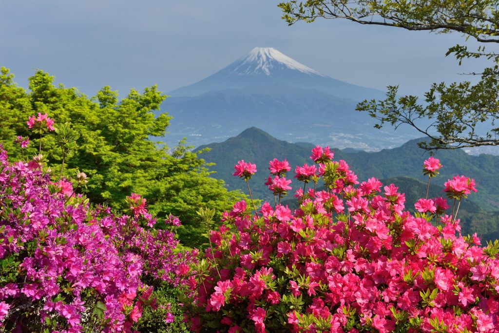 週末の富士山（新作636）