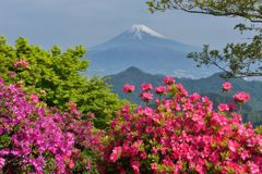 週末の富士山（新作636）