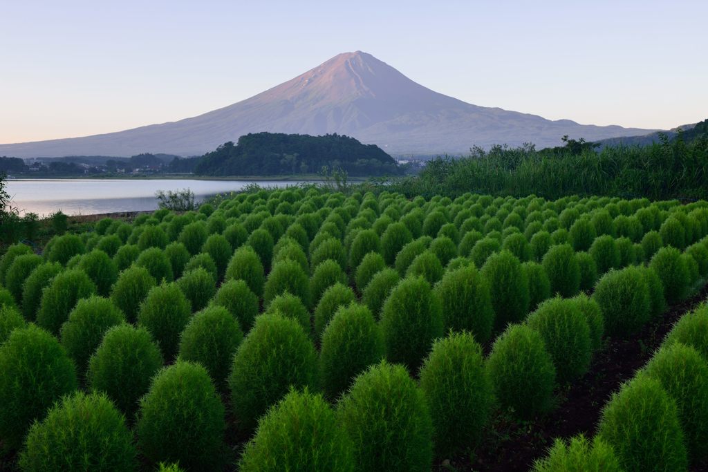 平日の富士山374