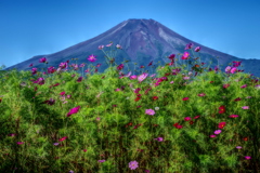 平日の富士山97