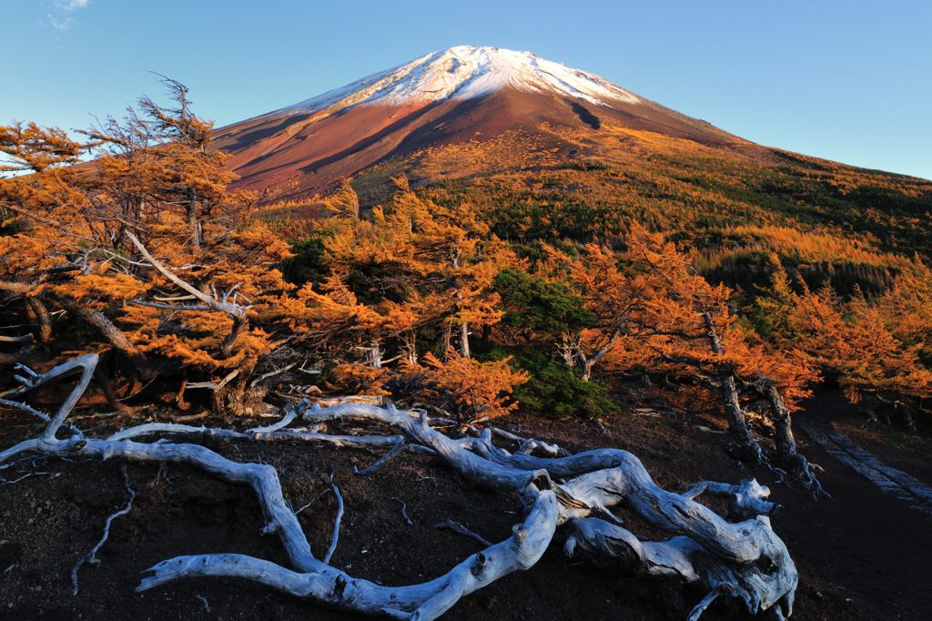 週末の富士山（新作57）
