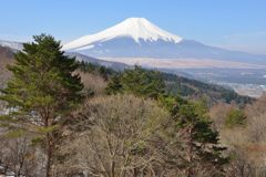 平日の富士山262