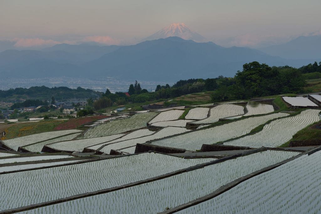 平日の富士山308