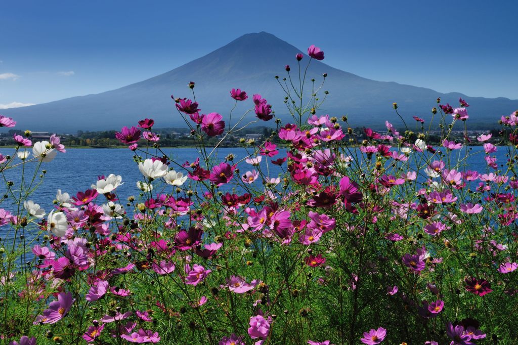 週末の富士山（新作34）