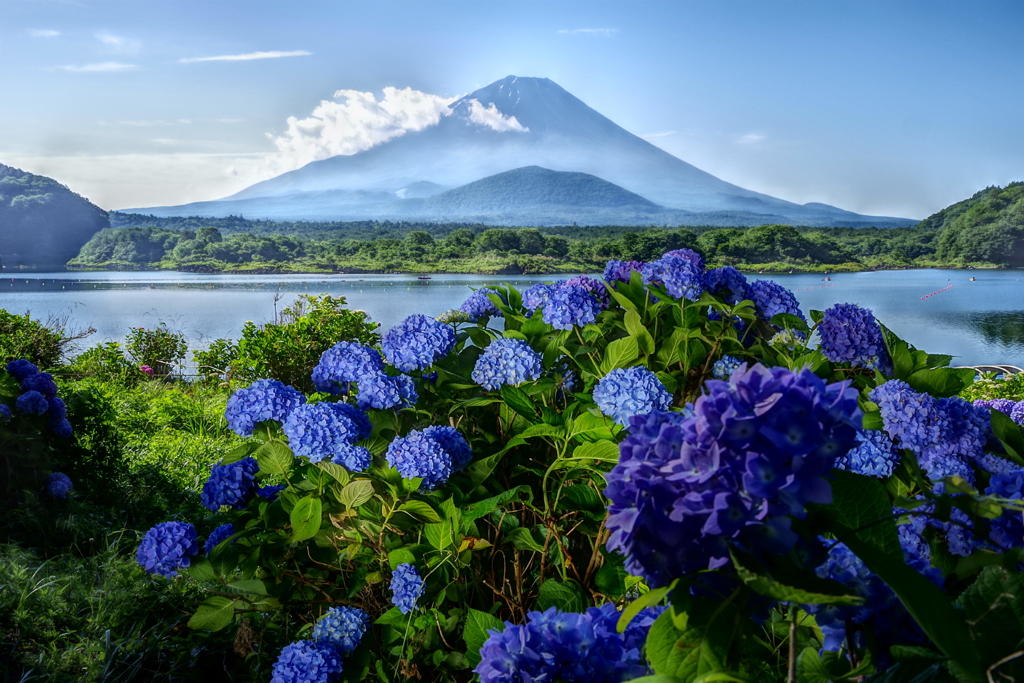 平日の富士山51