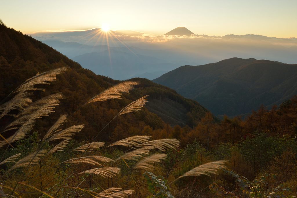 週末の富士山（新作480）